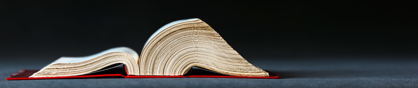 ヘッダーイメージ